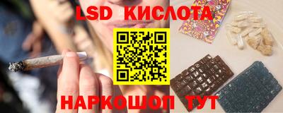 spice Заволжье