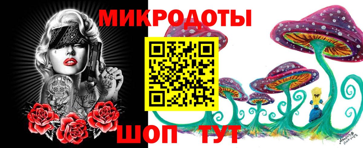 Галлюциногенные грибы Magic Shrooms  Вход с VPN  что такое   Галлюциногенные грибы Cubensis  Курчатов 