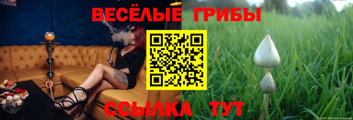 Псилоцибиновые грибы Magic Shrooms Курчатов